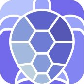 TurtleMetrics Logo